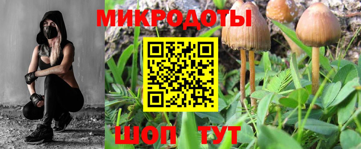 Псилоцибиновые грибы GOLDEN TEACHER  Псилоцибиновые грибы прущие грибы  Вход с VPN  Большой Камень 